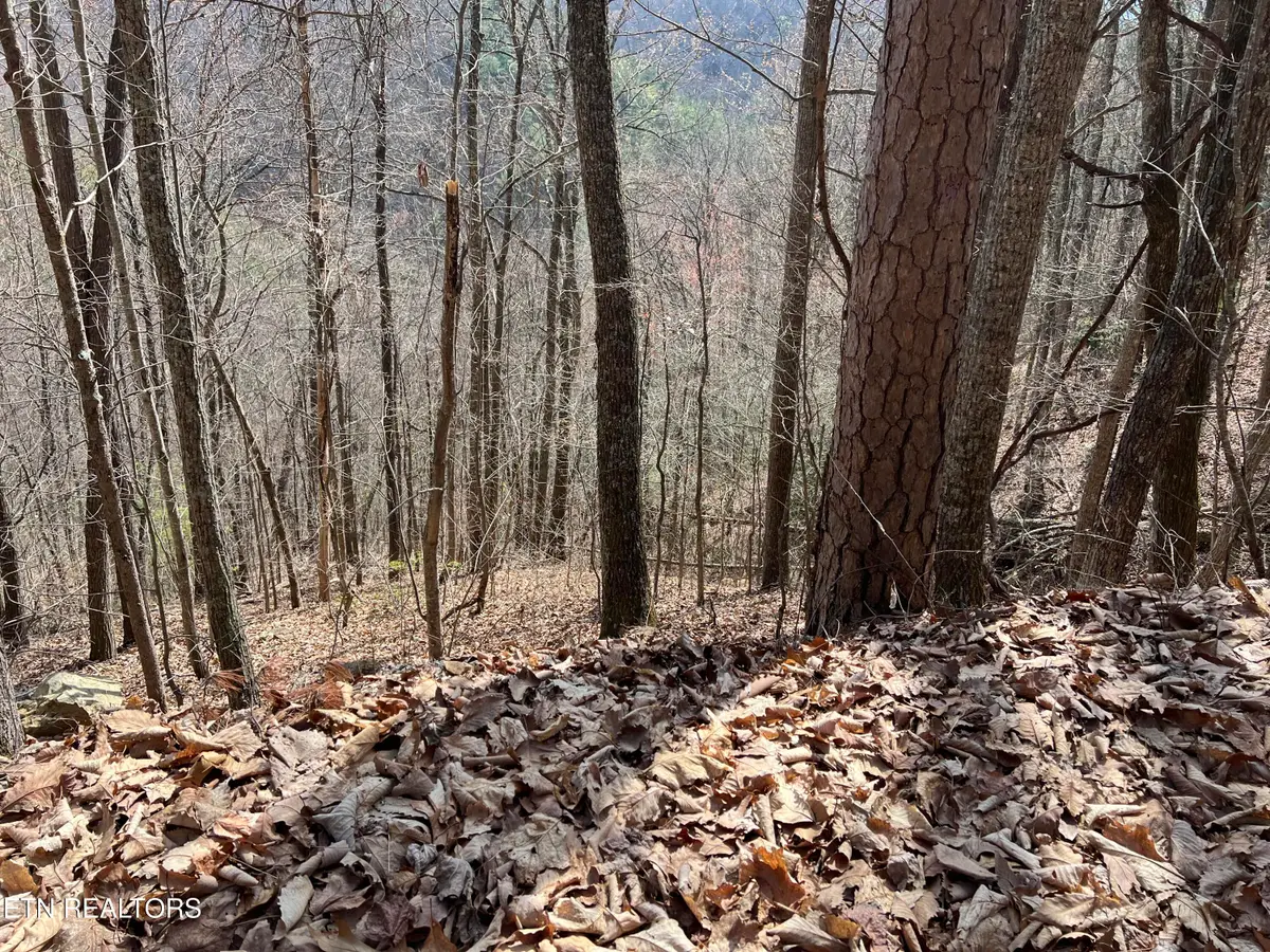 Laurel Lane, Sevierville, TN 37876 - #1