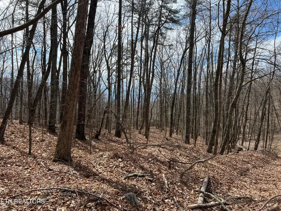 Laurel Lane, Sevierville, TN 37876 - #2