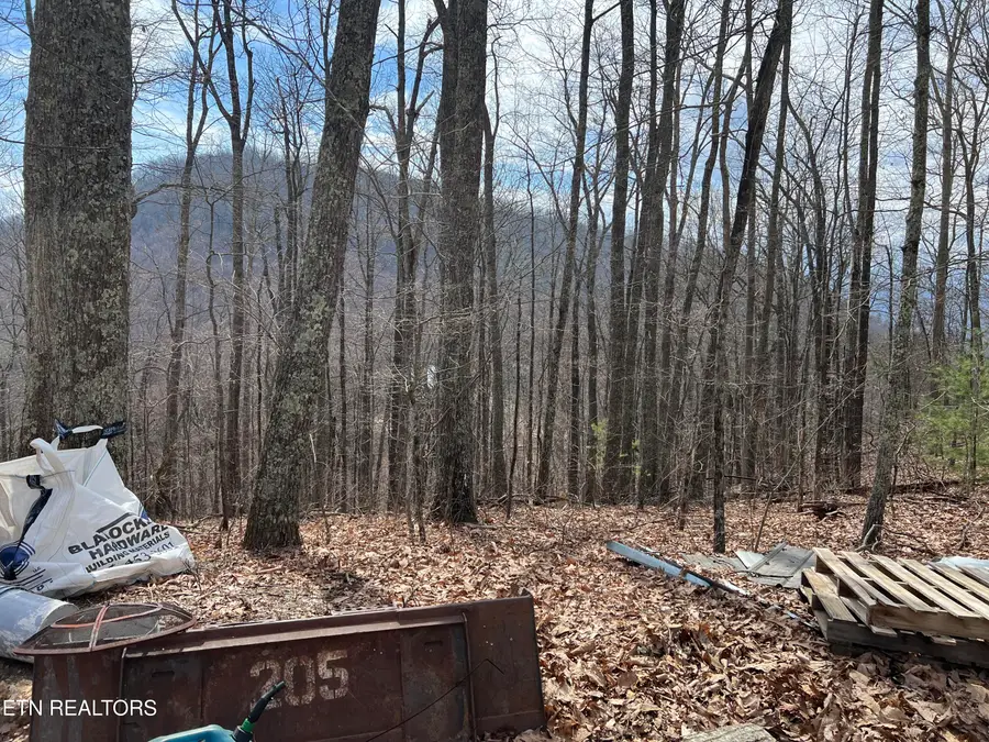 Laurel Lane, Sevierville, TN 37876 - #3