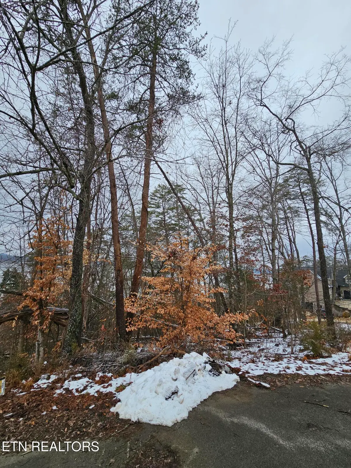 Kammann Cove, Baneberry, TN 37890 - #1