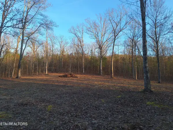 Lot 1 Mecca Pike, Tellico Plains, TN 37385