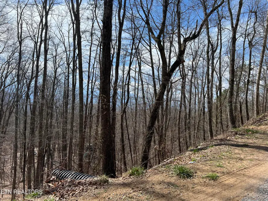 Clingmans View #Lot 18, Sevierville, TN 37876 - #2