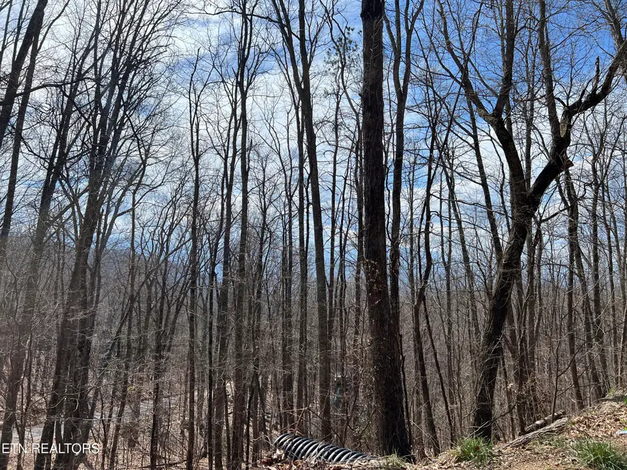 Clingmans View #Lot 18, Sevierville, TN 37876 - #3