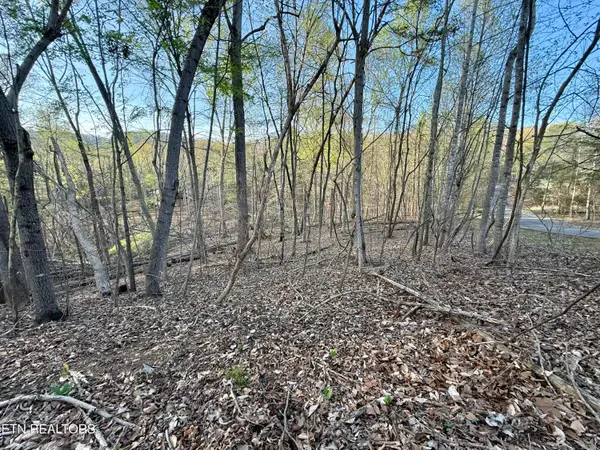 1516 Catoosa Drive, Mooresburg, TN 37811