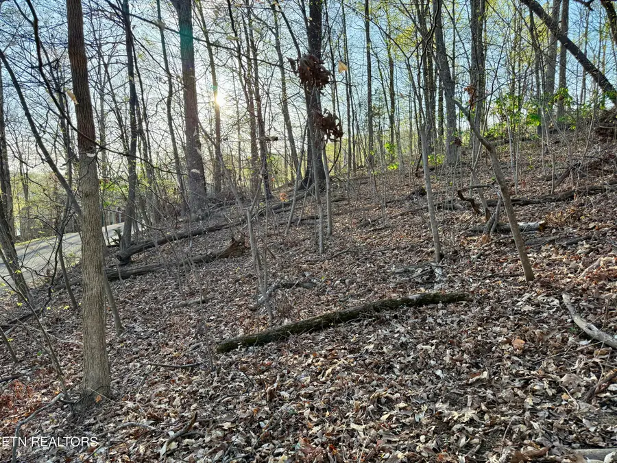 1522 Catoosa Drive, Mooresburg, TN 37811 - #3