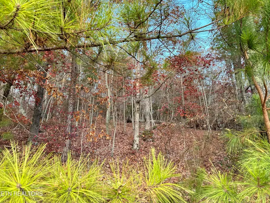 726 Twin Lks Drive, Loudon, TN 37774 - #3