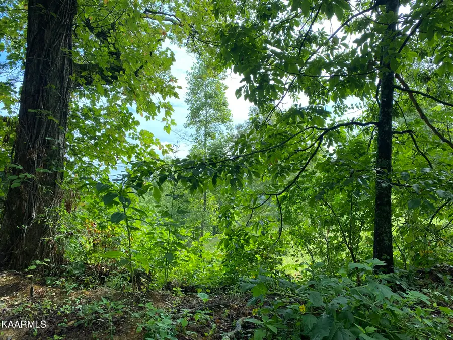 4556 Huffine Rd, Loudon, TN 37774 - #2