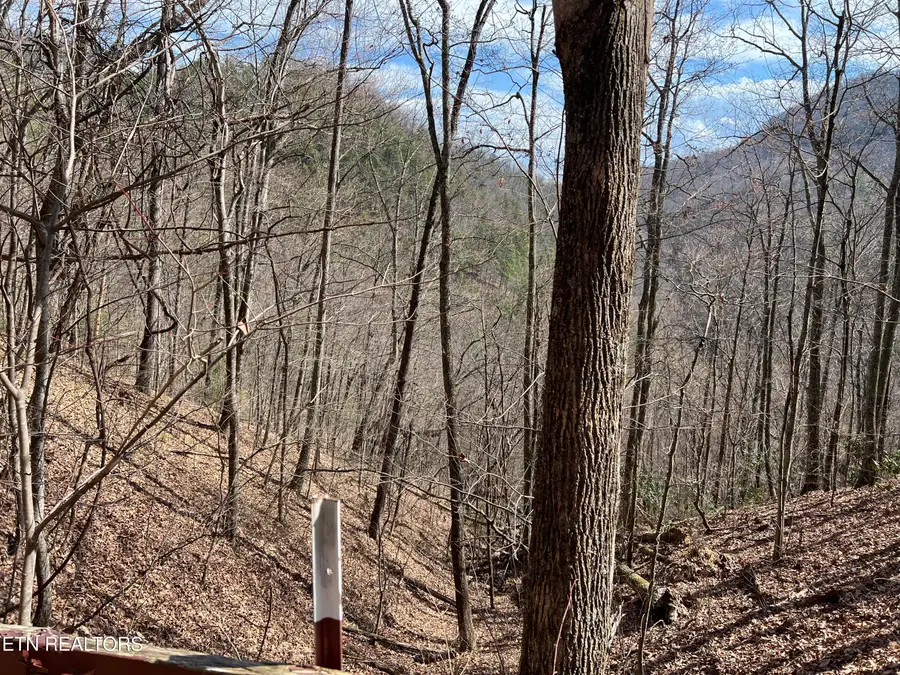 Aintree Drive #26, Sevierville, TN 37876 - #3