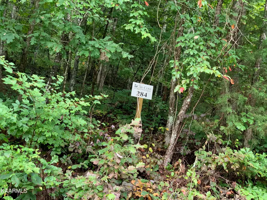 4507 Huffine Rd, Loudon, TN 37774 - #2