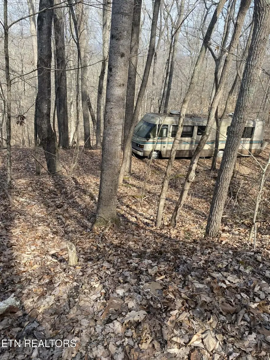 Meandering Circle #2, Maynardville, TN 37807 - #3