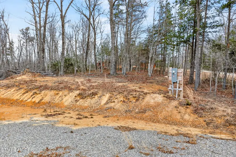 229 Paradise Lane, Crawford, TN 38554 - #2