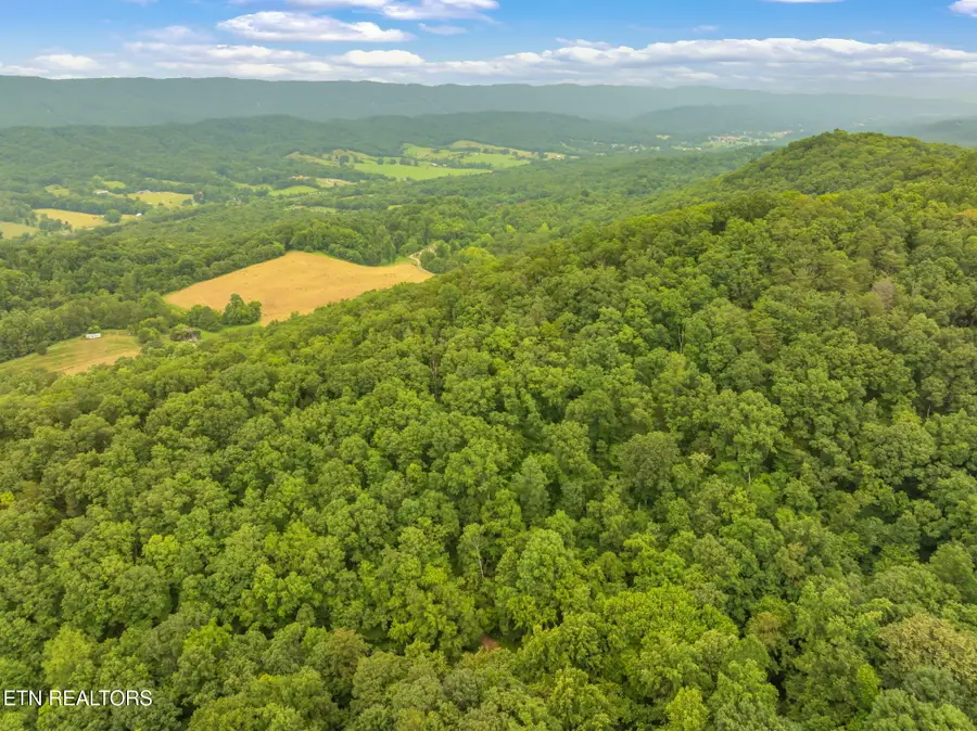 Dunville Gap Rd, Rutledge, TN 37861 - #3