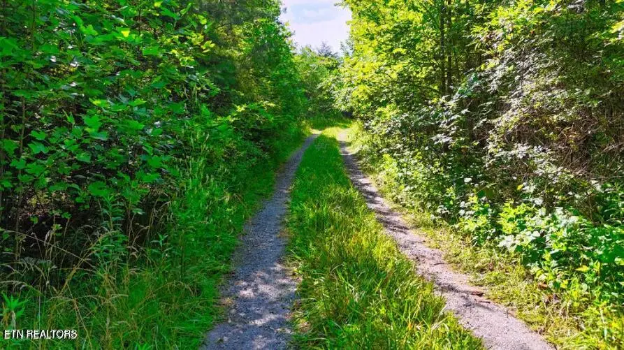 Lantana Rd, Crossville, TN 38572 - #3