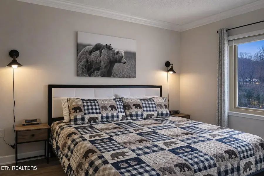 102 Baskins Creek #UNIT 304, Gatlinburg, TN 37738 - #3