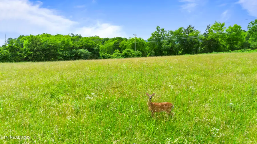 Old Middlesboro Hwy, Lafollette, TN 37766 - #2