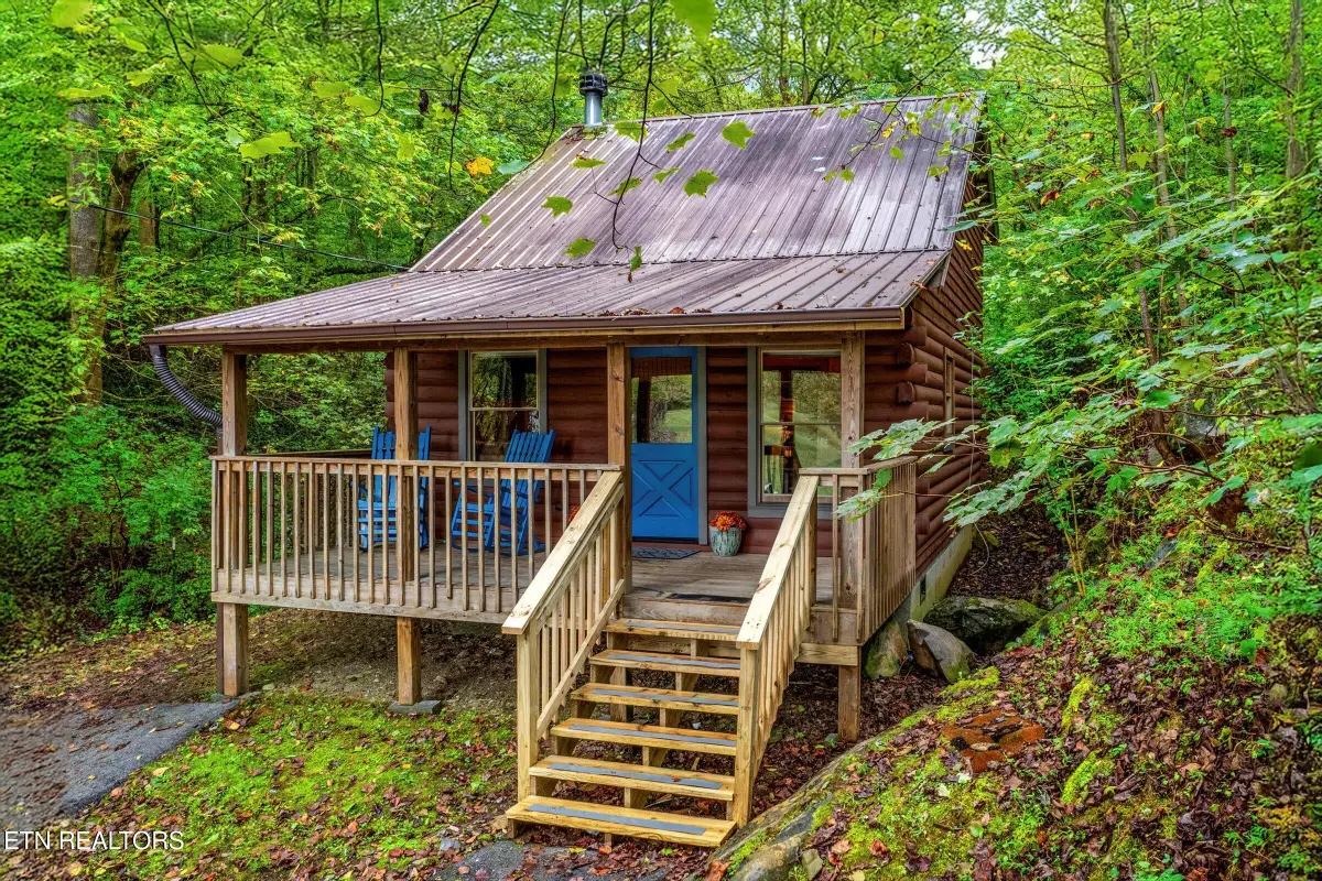 236 Mountain Ave, Townsend, TN 37882 - #1