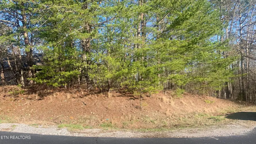 205 Seminole View, Loudon, TN 37774 - #2