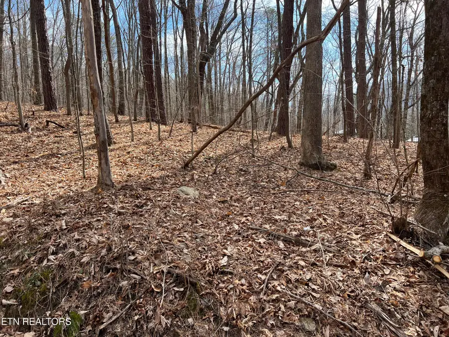 Swann Saddle, Sevierville, TN 37876 - #3