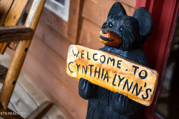 244 Forrest Loop Way, Gatlinburg, TN 37738