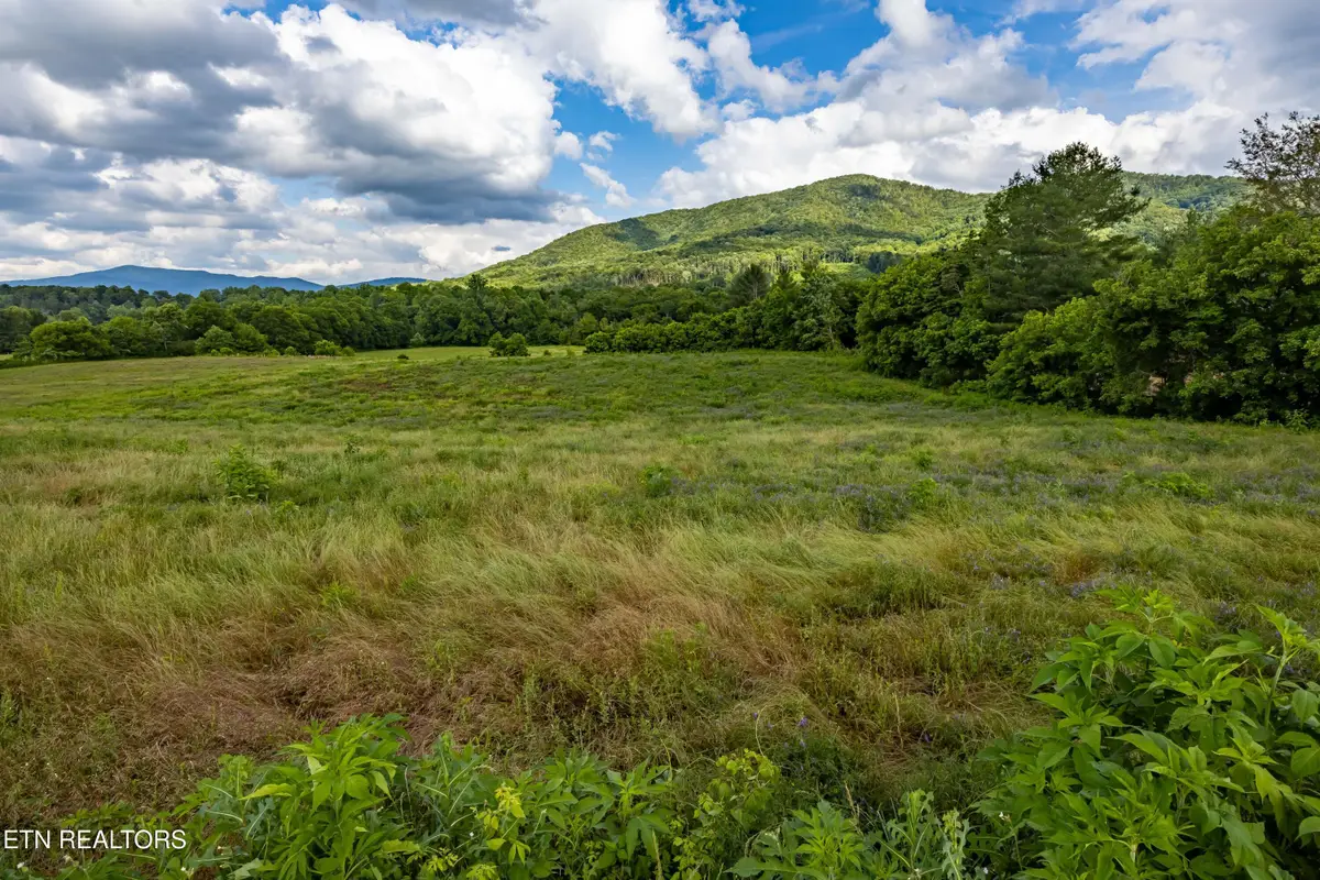 Lot 3R2 Holders Grove Rd, Cosby, TN 37722 - #1