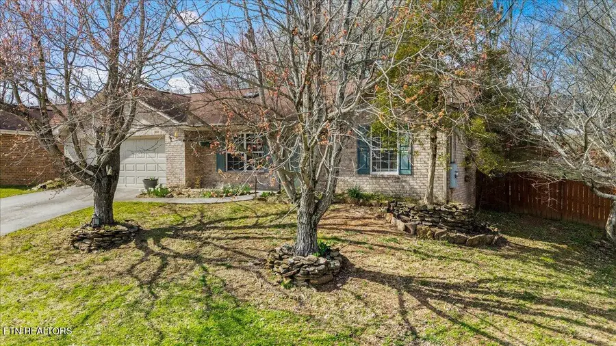 7133 Alice Springs Lane, Corryton, TN 37721 - #3