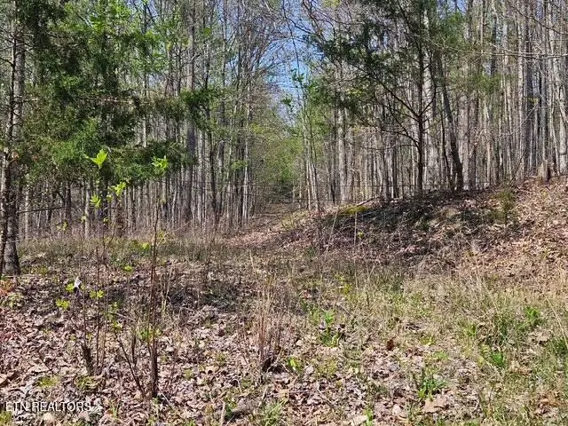 5 Acres Benton Tidwell Rd, Hilham, TN 38568 - #2