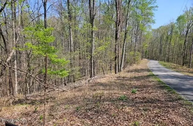 5 Acres Benton Tidwell Rd, Hilham, TN 38568 - #3