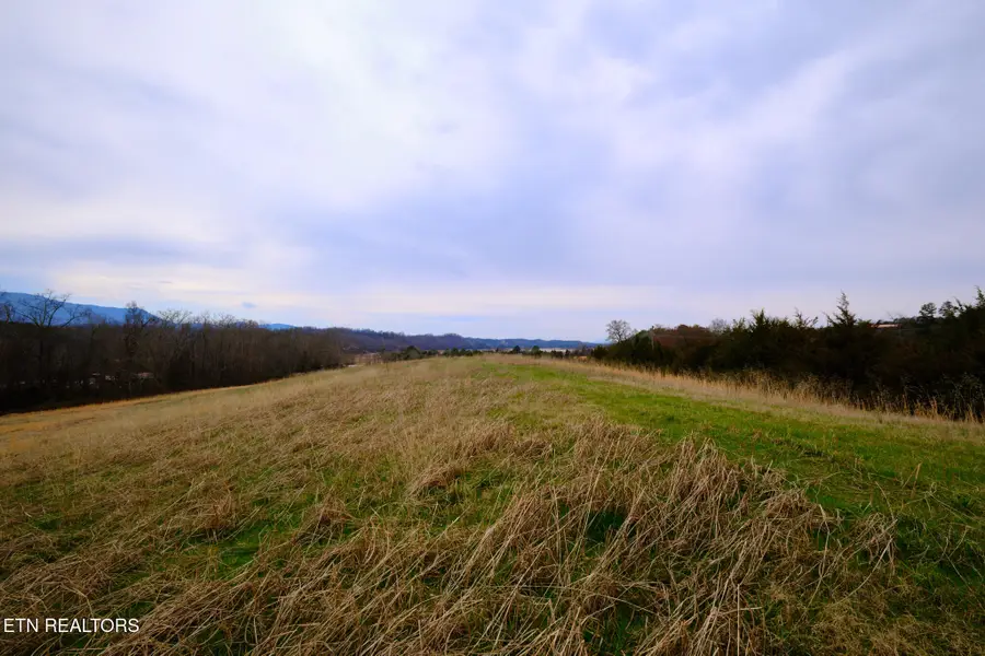 1440 Swannsylvania Rd #4, Dandridge, TN 37725 - #3