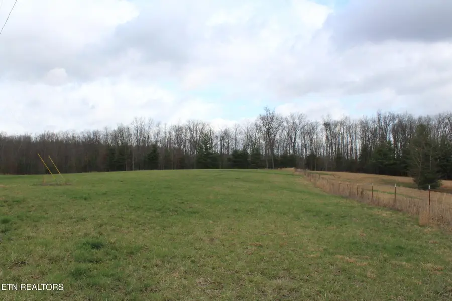 999 Meister Hills Rd, Deer Lodge, TN 37726 - #3