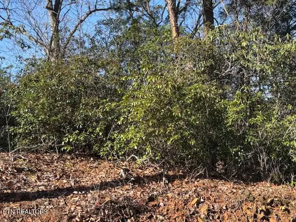 1915 Buckeye View Way, Sevierville, TN 37876