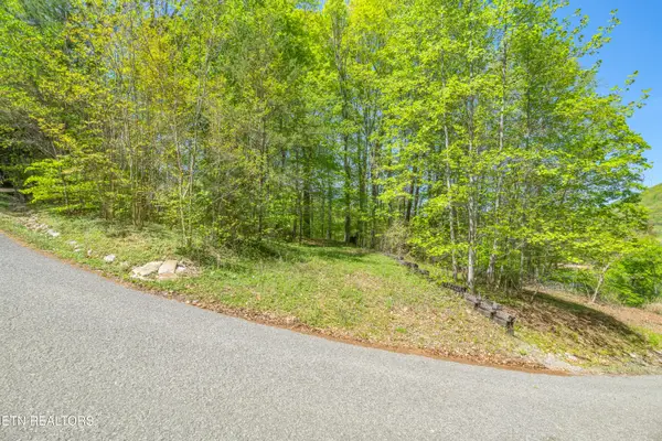 Lot 51 S Shorewood Drive, Caryville, TN 37714
