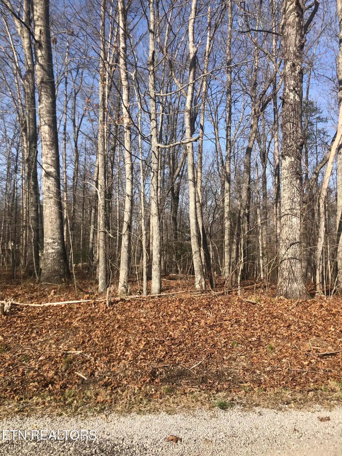 1115 Geronimo Lane, Crossville, TN 38572 - #1