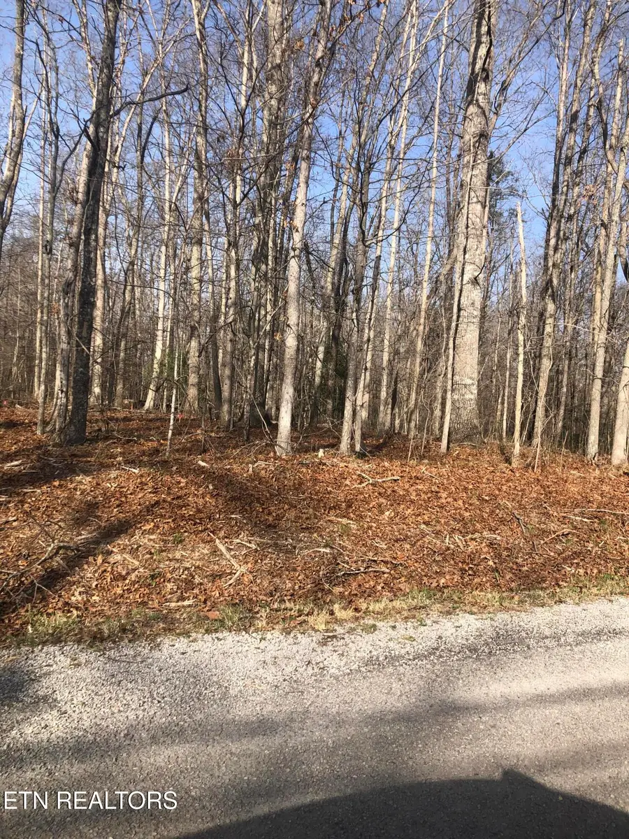 1115 Geronimo Lane, Crossville, TN 38572 - #3