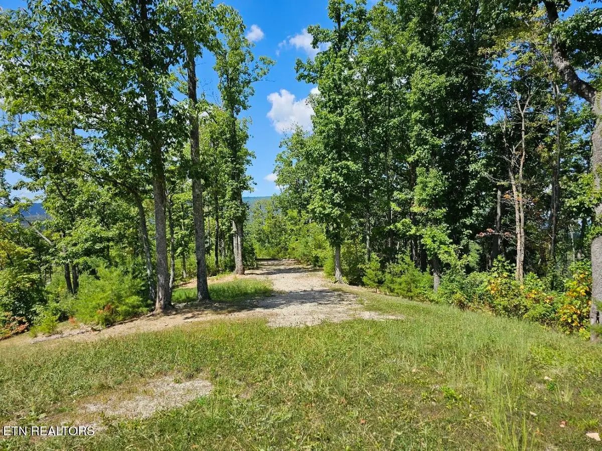 Phase B Crown Circle, Sevierville, TN 37862 - #1
