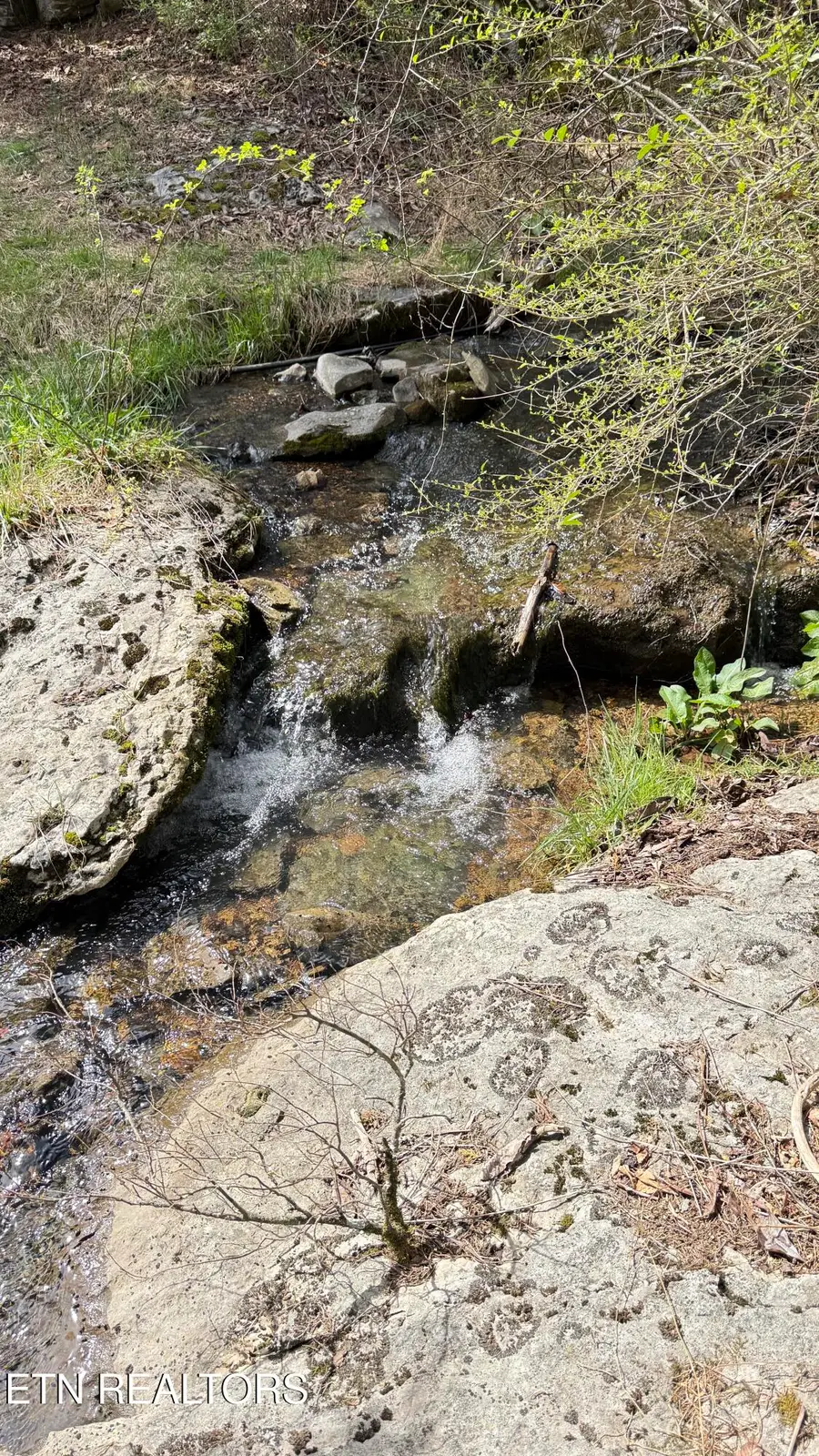 00 Cantwell Valley Rd, Sneedville, TN 37869 - #3