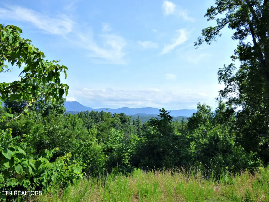 Lot 32 Tranquility Tr, Dandridge, TN 37725 - #3