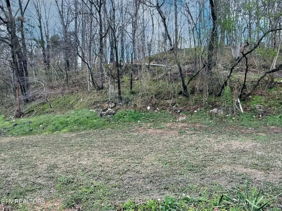 Cave Springs Rd, Lafollette, TN 37766 - #2