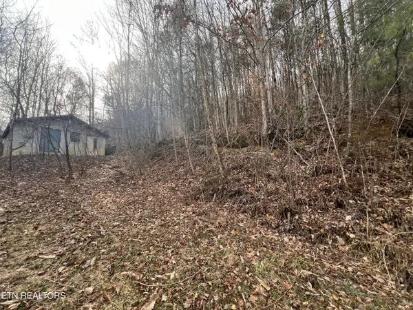 4316 Trentham Way, Pigeon Forge, TN 37863