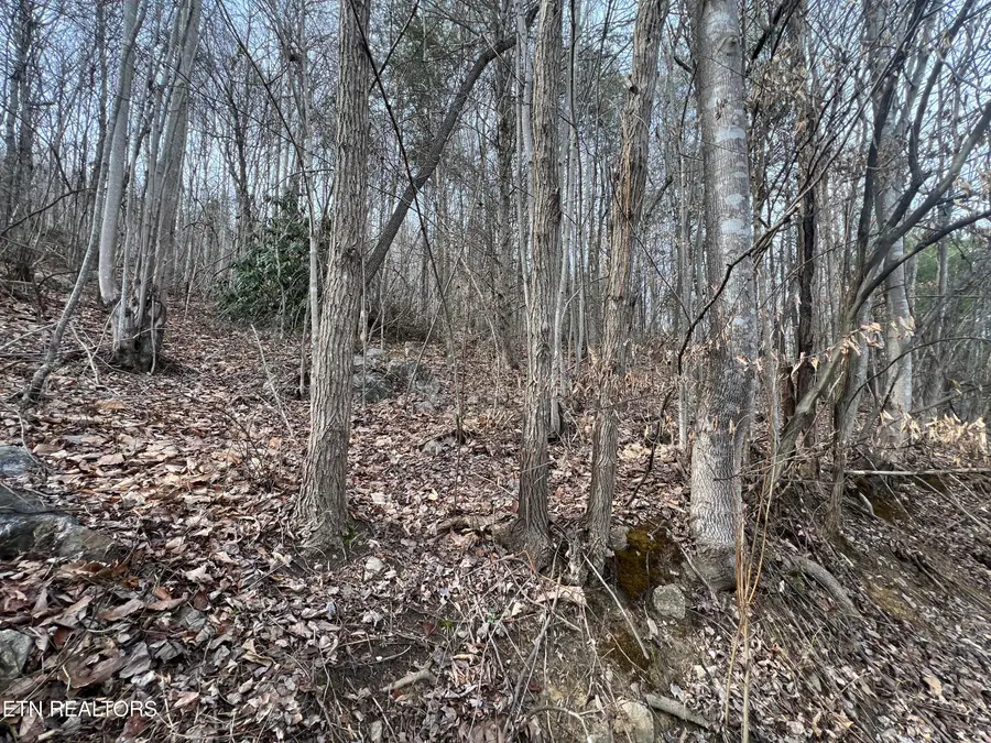 4316 Trentham Way, Pigeon Forge, TN 37863 - #2