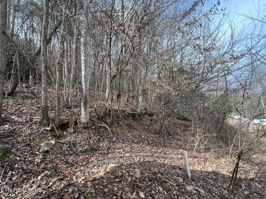 4316 Trentham Way, Pigeon Forge, TN 37863 - #3