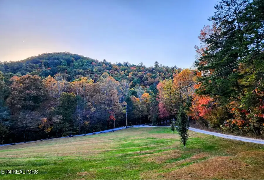 676 Rocky Flats Rd, Cosby, TN 37722 - #2