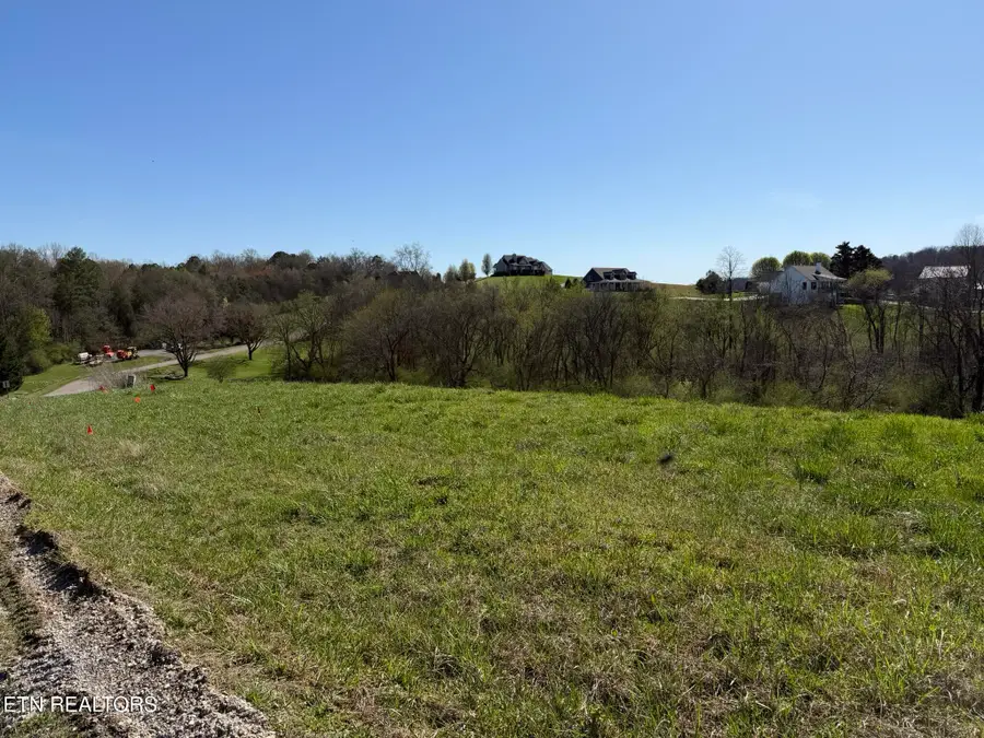 Lot 52 Marble Bluff Drive, Kingston, TN 37763 - #3