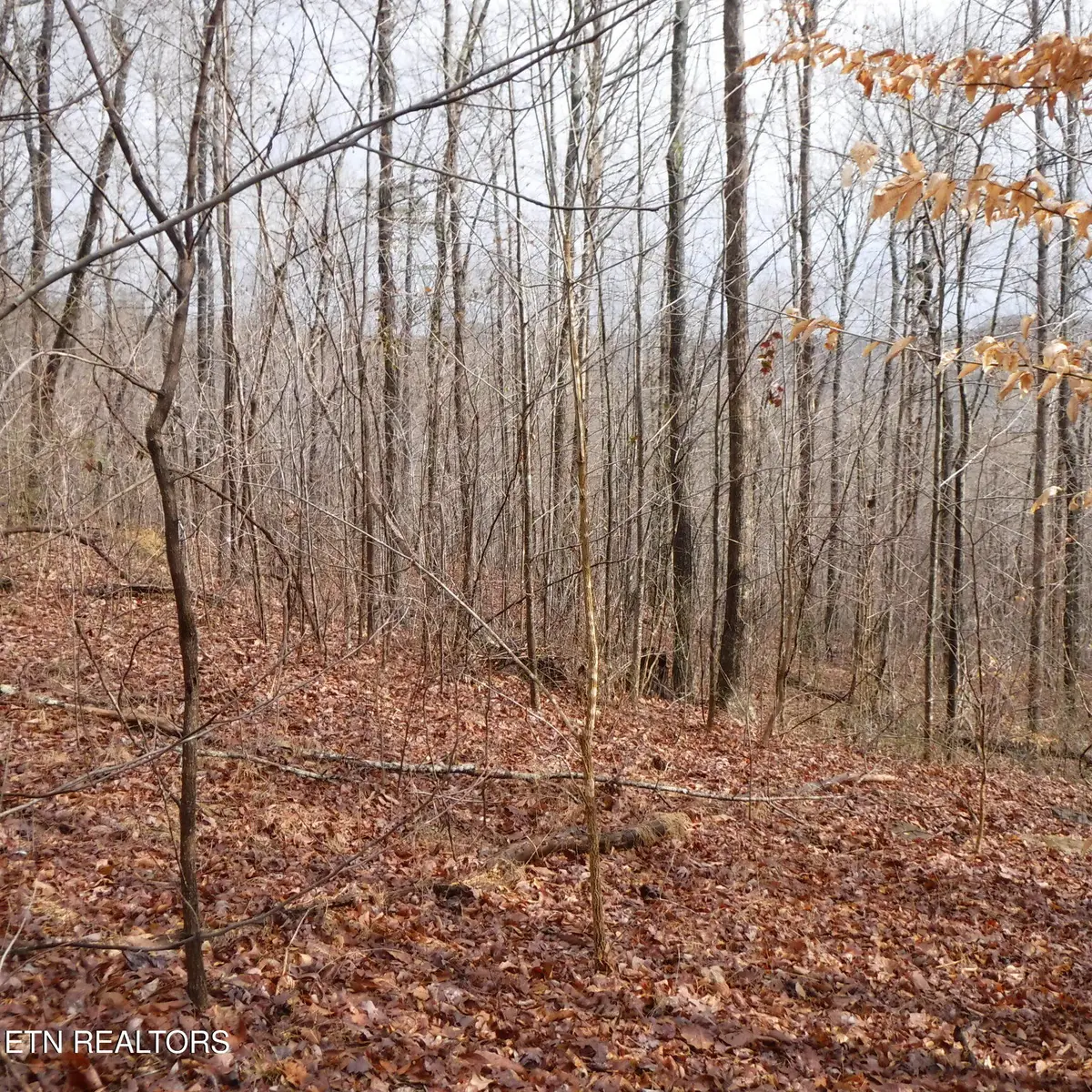 Lot 14 Cheyenne Drive, Jamestown, TN 38556 - #1