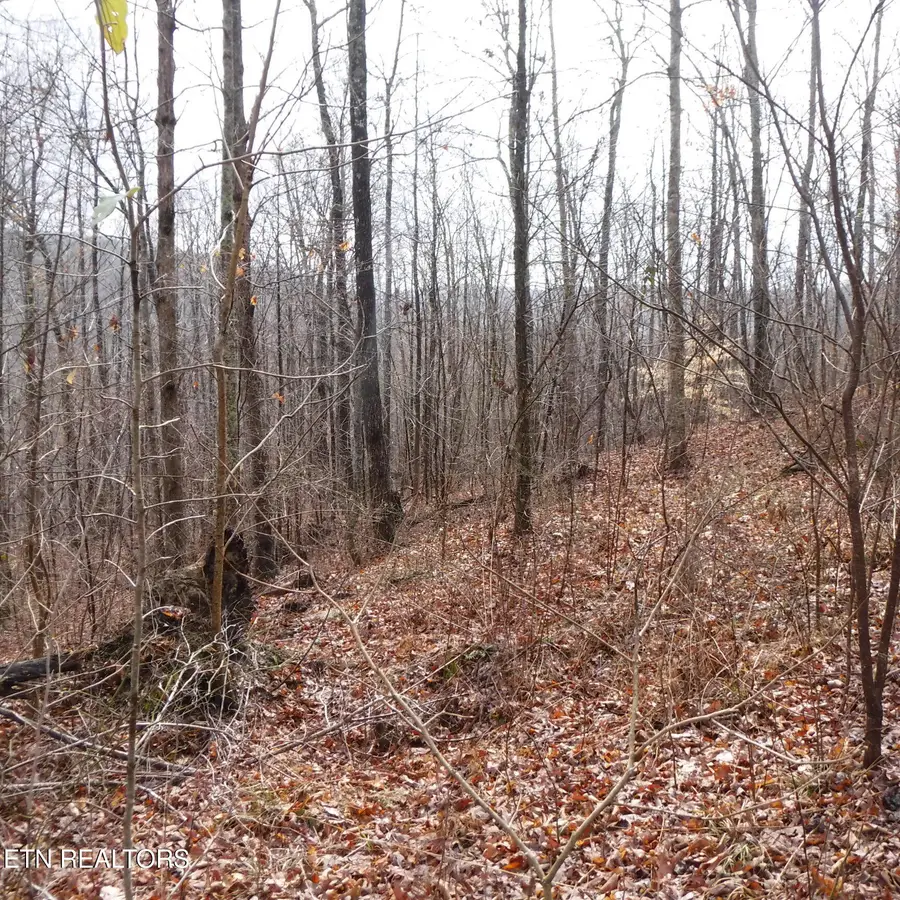 Lot 14 Cheyenne Drive, Jamestown, TN 38556 - #3