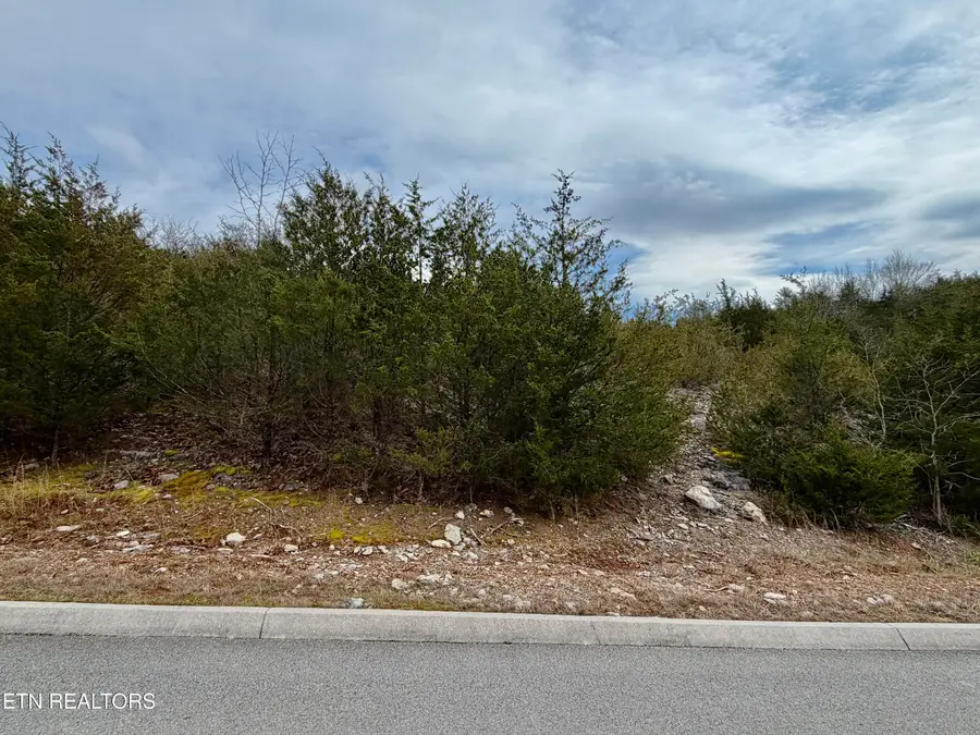 Par Place, Tazewell, TN 37879 - #2