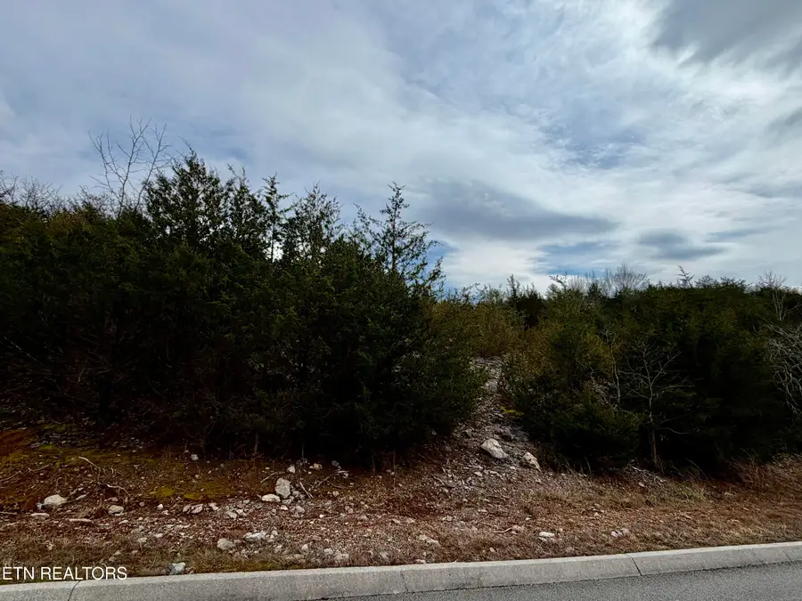 Par Place, Tazewell, TN 37879 - #3
