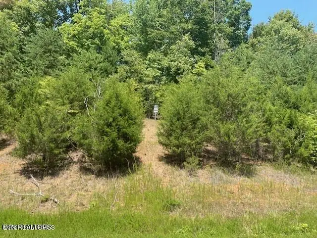 Lot 492 Citron Lane, New Tazewell, TN 37825 - #1