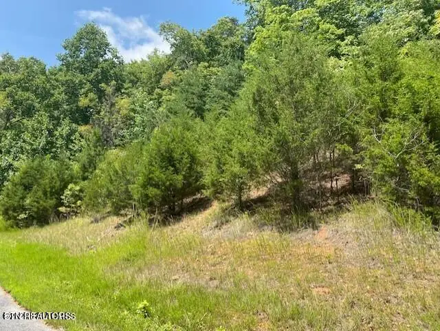 Lot 492 Citron Lane, New Tazewell, TN 37825 - #2