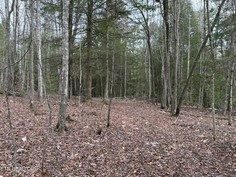 Northwood Place, Jamestown, TN 38556 - #2