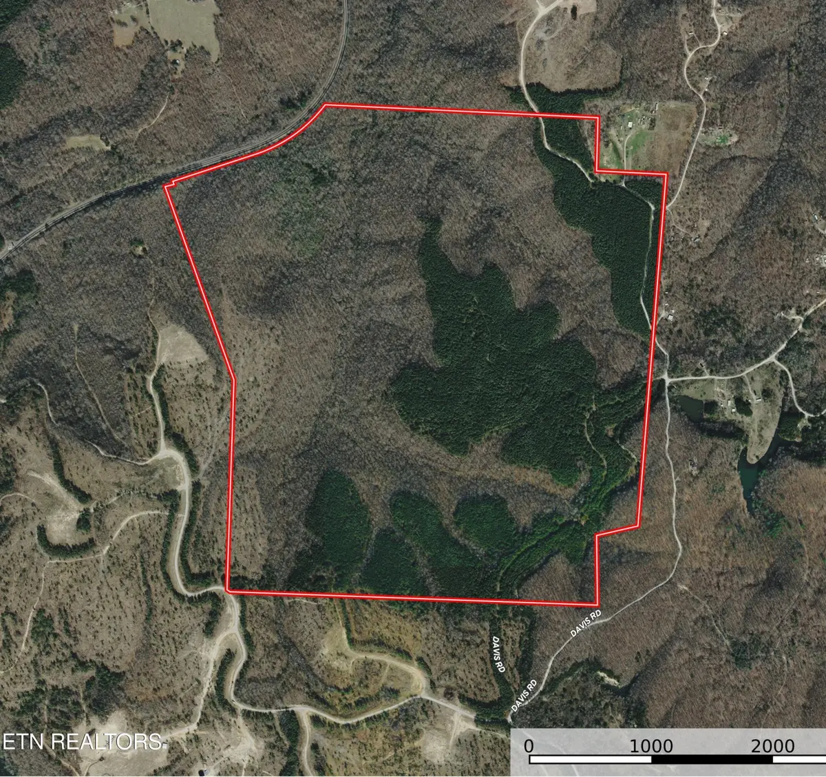 Davis Rd, Sunbright, TN 37872 - #1